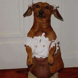 Meet your Posher, Dinah